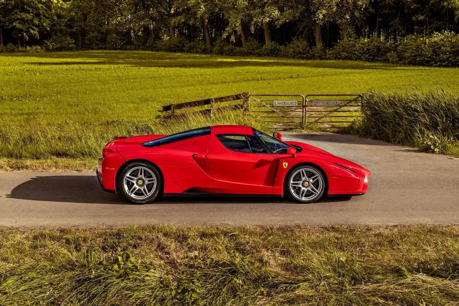 Ferrari Enzo Ferrari